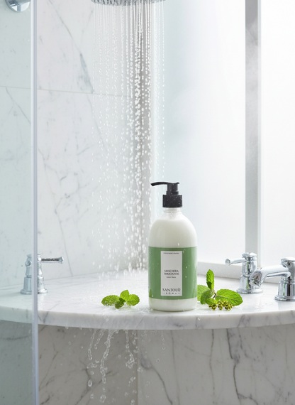 Maschera Idratante - Latte e Menta